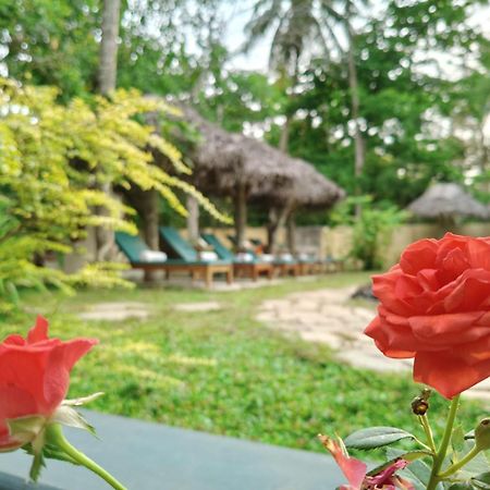 Marari Beach Bungalow Resort Alleppey Mararikulam Εξωτερικό φωτογραφία