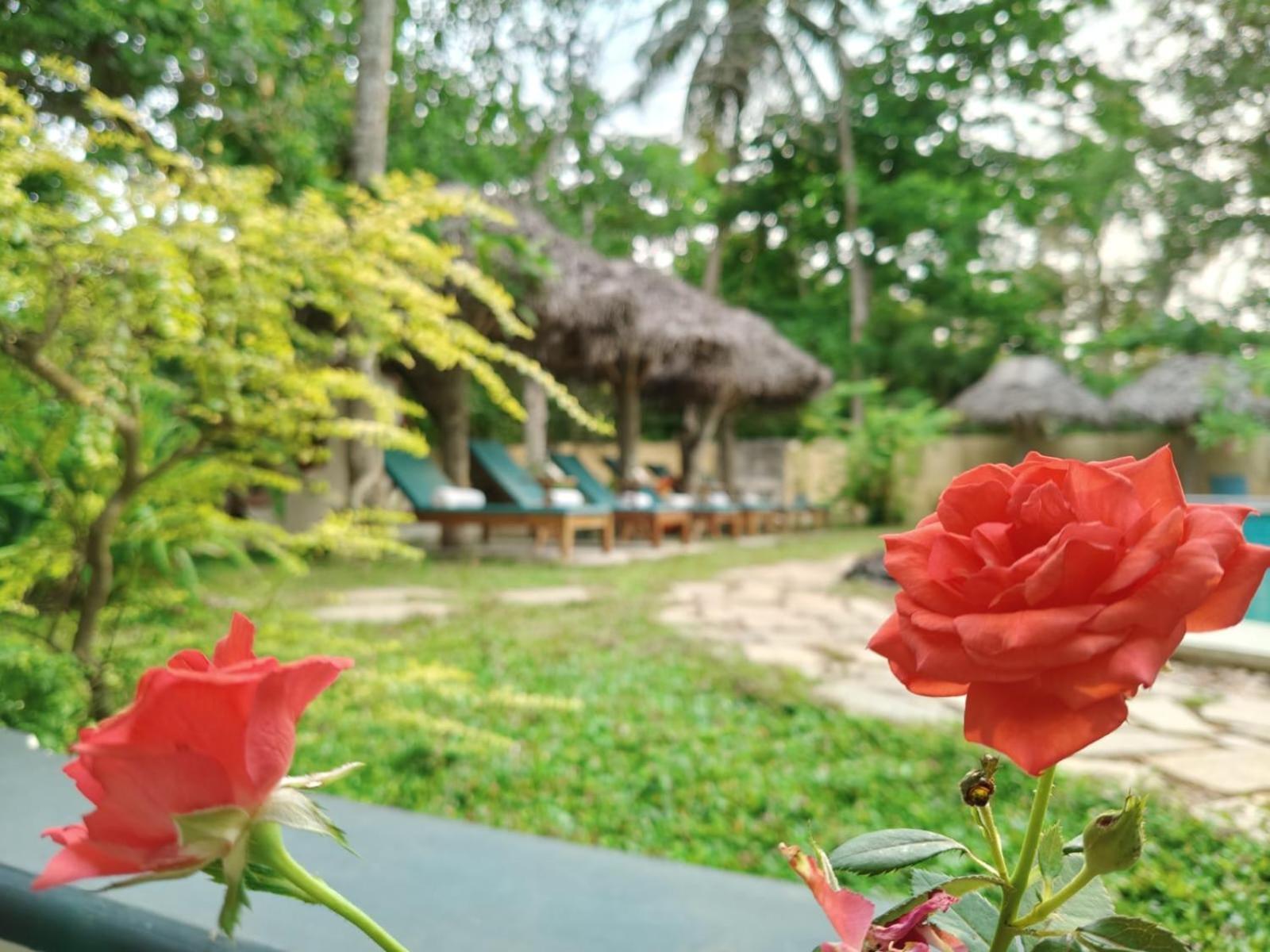 Marari Beach Bungalow Resort Alleppey Mararikulam Εξωτερικό φωτογραφία